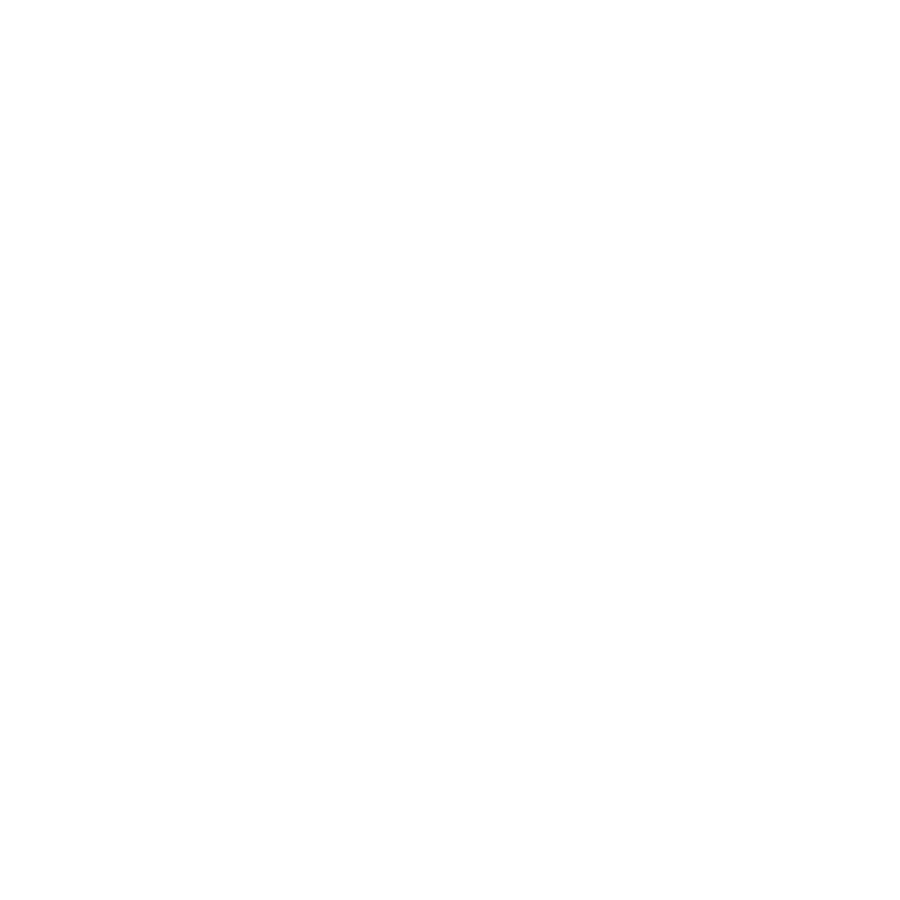 ドローン橋梁点検 豊富な実績